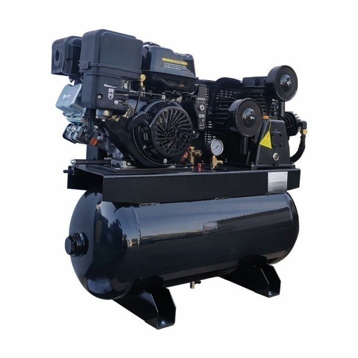 Gasoline Power Piston Air Compressor W0.8-12.5P -3